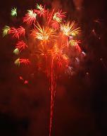 Bonne année 2007 !
