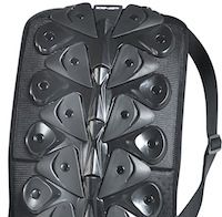 DMP: dorsale Turtle.