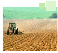 Agrocarburants : l’ADEME a élaboré une méthode plus juste pour évaluer leur impact environnemental