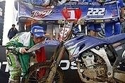 MX 2 : Cairoli champion du monde