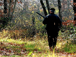 Un automobiliste tué par un chasseur