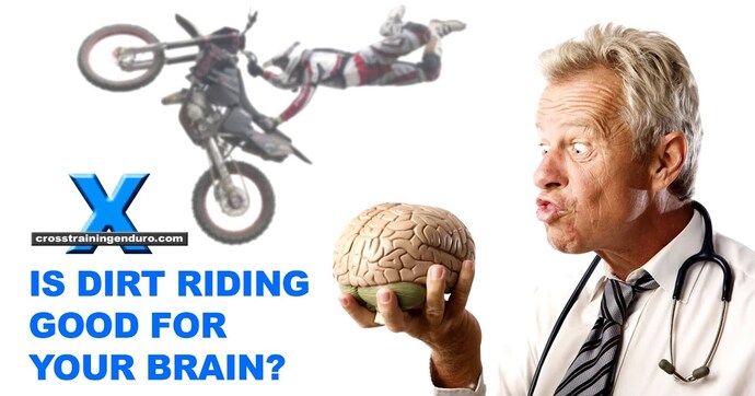 Le cerveau adore la moto : il est scientifiquement prouvé que rouler à moto rend plus intelligent et en meilleure forme