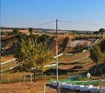Castelnau de Levis accueille le mondial MX 3 samedi 10 et dimanche 11 avril