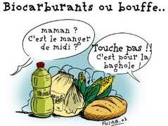 Vocabulaire : les biocarburants s’appelleront désormais « agrocarburants »