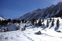 Stations de ski : adoptez le co-voiturage !