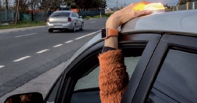 Image d'illustration de l'article