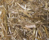 La paille, source de biocarburants de 2e génération