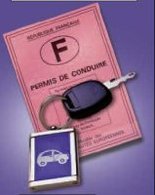 Réforme du permis de conduire : l'éco-conduite confirmée