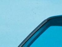 Quizz du vendredi: La belle... est la bête !