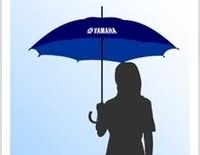 Miss Yamaha Racing 2009 : On recrute pour le Superbike de Magny-Cours !!