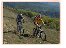 Eco-tourisme : visitez les Vosges à VTT et à pied !