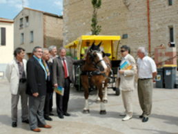 Des chevaux offrent un service non polluant
