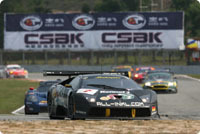 FIA-GT: victoire pour Lamborghini et Bouchut!