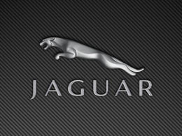 Rouler en Jaguar à Charleroi, est-ce une provocation ? La marque répond à la juge