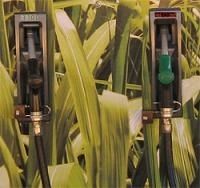 Les bio-carburants déjà contestés