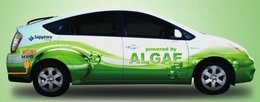 Une Toyota Prius hybride rechargeable fonctionnant aux algues !