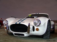 Photo du jour : Cobra Shelby Bardhal