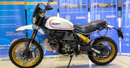 Résultats de la vente Alcopa du 26 février : la reprise se confirme