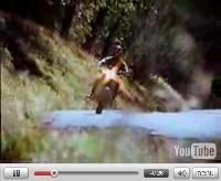 Vidéo moto : Kawasaki, The Ultimate Trip