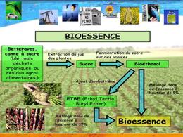 Le bilan écologique et énergétique des biocarburants de 1ère génération est difficile à réaliser