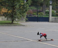 Reportage au Salon Animal Expo : les chiens skateurs et les taxis pour animaux de compagnie