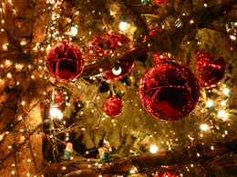 Uber se lance dans les sapins de Noël
