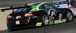 ALMS 2010: Goossens sur la Jaguar GT2 de RSR