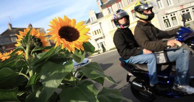 Image d'illustration de l'article