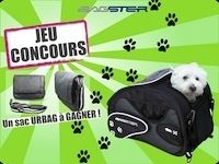 Jeu concours Bagster: votre toutou est à l'honneur