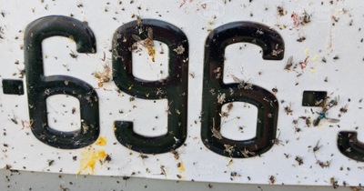 Image d'illustration de l'article