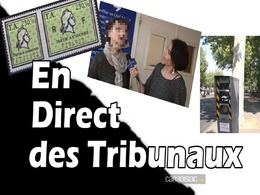 Vidéo - Payer son PV par timbre-amende n'est pas sans risque