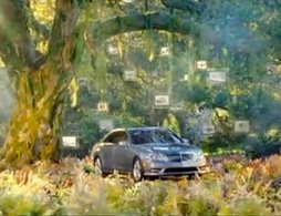 Alerte greenwashing : quand les Mercedes poussent dans les forêts