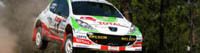 IRC/Rallye de Turquie: "Puissance 207"
