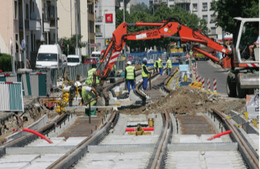 Travaux de la ligne F du tramway à Strasbourg : de nombreux arbres sont plantés