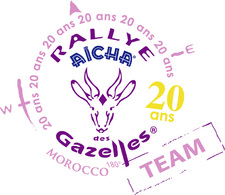 Rallye Aïcha des Gazelles 2010 : éco-conduite toute !