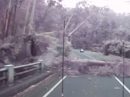 Vidéo : quand des arbres tombent devant votre voiture