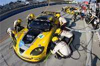 Corvette GT2: Débuts en août 2009