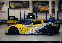 Corvette C6.R GT2 : les couleurs 2010