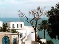 Une usine GAZ en Tunisie ?