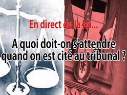 En direct de la loi : à quoi faut-il s'attendre au tribunal ?
