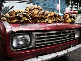 Ces fruits qui donnent la banane aux constructeurs automobiles