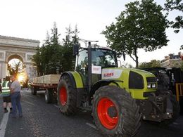 La nature s'invite à Paris: Circulation interdite sur les Champs jusqu'à mardi !