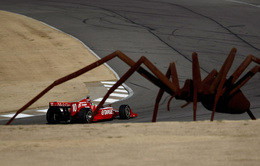 Insolite : araignée sur le circuit, gros ennui