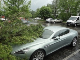 Une Aston Martin Rapide dans un arbre, mais ce n'est pas la faute du conducteur