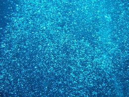 Les constructeurs prêts à faire buller les plastiques
