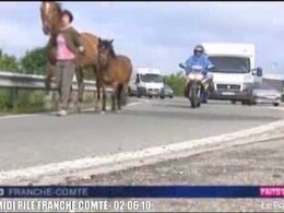 23 chevaux courent sur l'A36 et bloquent la circulation