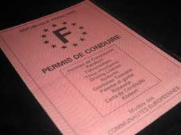 Italie : permis de conduire retiré pour « trouble de l'identité sexuelle », la victime obtient gain de cause