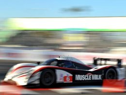 ALMS/Long Beach - 1er succès de la Lola Aston Martin Muscle Milk