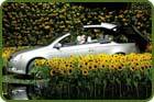 Sale temps pour les coupés cabriolets