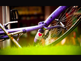 Quelle est l'empreinte carbone d'un cycliste ? Tout dépend de son alimentation...